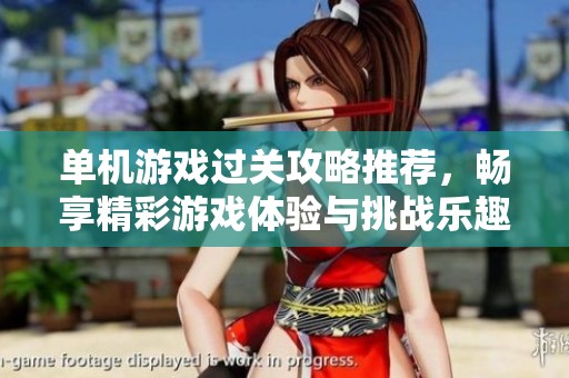单机游戏过关攻略推荐，畅享精彩游戏体验与挑战乐趣