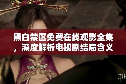 黑白禁区免费在线观影全集，深度解析电视剧结局含义