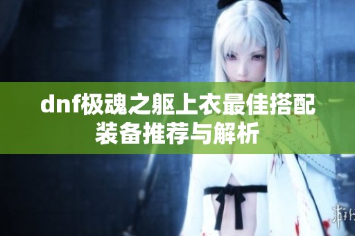 dnf极魂之躯上衣最佳搭配装备推荐与解析