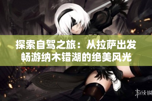 探索自驾之旅：从拉萨出发畅游纳木错湖的绝美风光