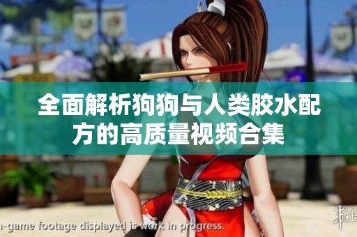 全面解析狗狗与人类胶水配方的高质量视频合集