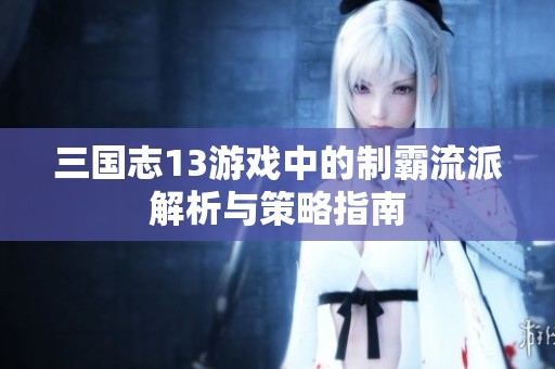 三国志13游戏中的制霸流派解析与策略指南