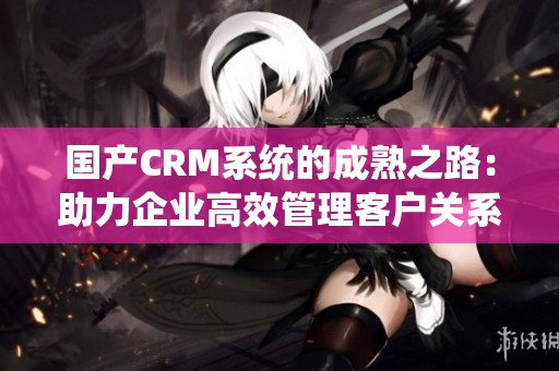 国产CRM系统的成熟之路：助力企业高效管理客户关系