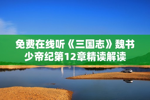 免费在线听《三国志》魏书少帝纪第12章精读解读
