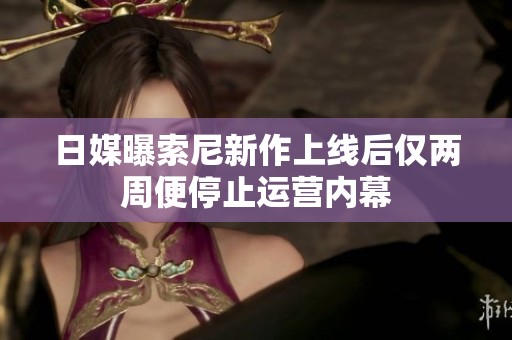 日媒曝索尼新作上线后仅两周便停止运营内幕