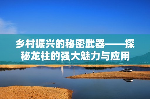 乡村振兴的秘密武器——探秘龙柱的强大魅力与应用