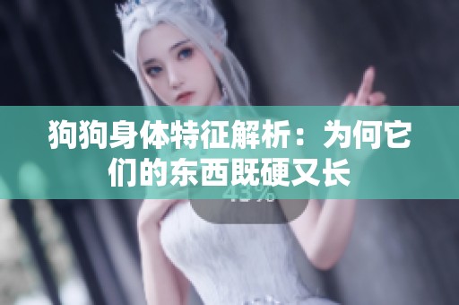 狗狗身体特征解析：为何它们的东西既硬又长