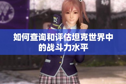 如何查询和评估坦克世界中的战斗力水平