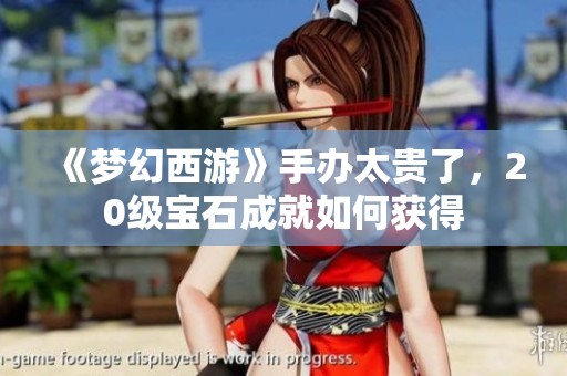 《梦幻西游》手办太贵了，20级宝石成就如何获得
