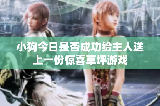 小狗今日是否成功给主人送上一份惊喜草坪游戏