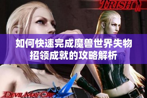 如何快速完成魔兽世界失物招领成就的攻略解析