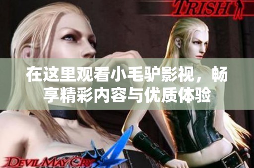 在这里观看小毛驴影视，畅享精彩内容与优质体验