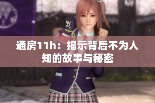 通房11h：揭示背后不为人知的故事与秘密