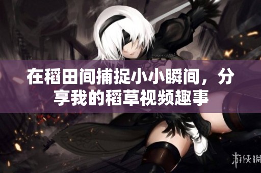在稻田间捕捉小小瞬间，分享我的稻草视频趣事