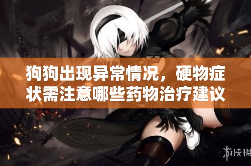 狗狗出现异常情况，硬物症状需注意哪些药物治疗建议