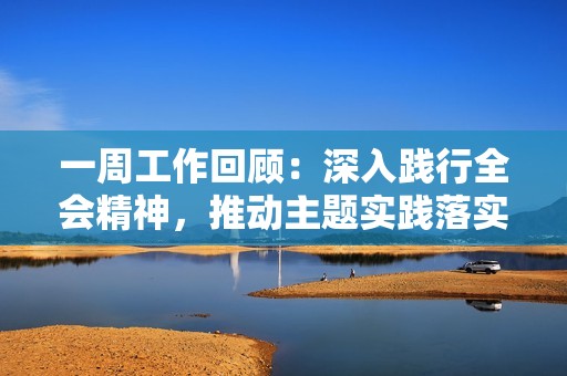 一周工作回顾：深入践行全会精神，推动主题实践落实落地
