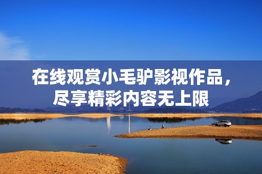 在线观赏小毛驴影视作品，尽享精彩内容无上限