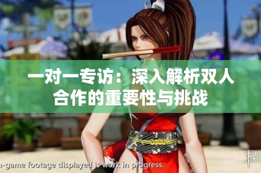 一对一专访：深入解析双人合作的重要性与挑战