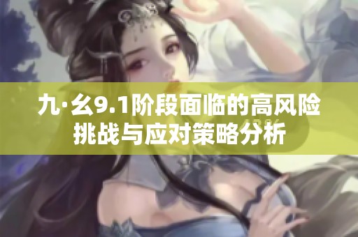 九·幺9.1阶段面临的高风险挑战与应对策略分析