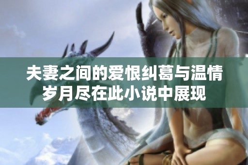 夫妻之间的爱恨纠葛与温情岁月尽在此小说中展现