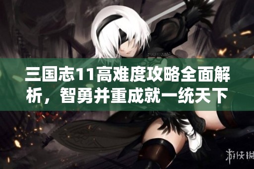 三国志11高难度攻略全面解析，智勇并重成就一统天下梦想