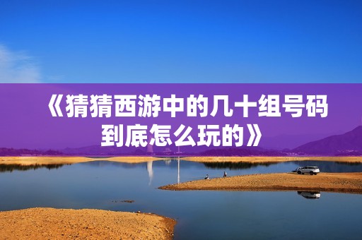 《猜猜西游中的几十组号码到底怎么玩的》