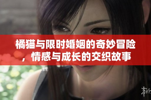 橘猫与限时婚姻的奇妙冒险，情感与成长的交织故事