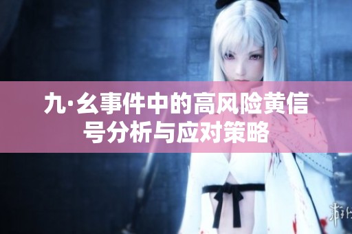 九·幺事件中的高风险黄信号分析与应对策略