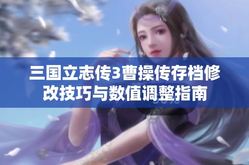 三国立志传3曹操传存档修改技巧与数值调整指南