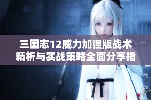 三国志12威力加强版战术精析与实战策略全面分享指南