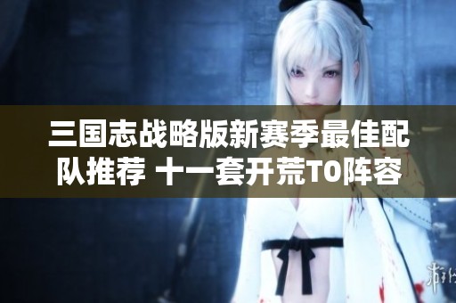 三国志战略版新赛季最佳配队推荐 十一套开荒T0阵容详解