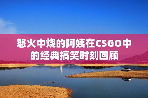 怒火中烧的阿姨在CSGO中的经典搞笑时刻回顾