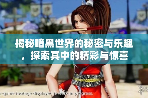 揭秘暗黑世界的秘密与乐趣，探索其中的精彩与惊喜
