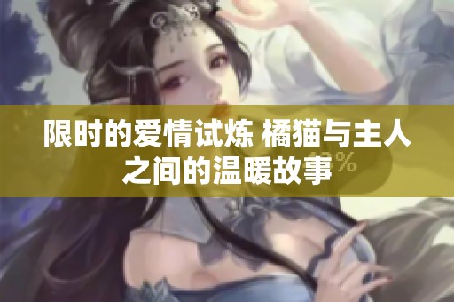 限时的爱情试炼 橘猫与主人之间的温暖故事