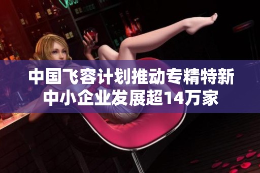 中国飞容计划推动专精特新中小企业发展超14万家