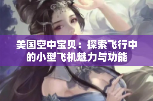 美国空中宝贝：探索飞行中的小型飞机魅力与功能