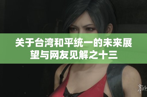 关于台湾和平统一的未来展望与网友见解之十三