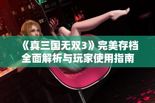 《真三国无双3》完美存档全面解析与玩家使用指南