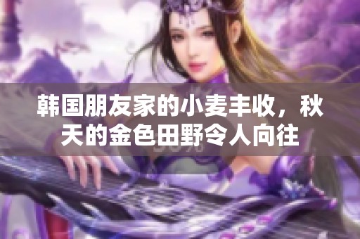 韩国朋友家的小麦丰收，秋天的金色田野令人向往