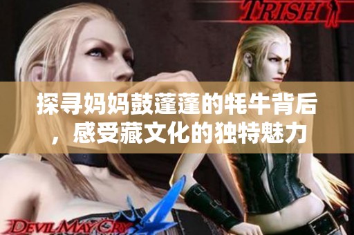 探寻妈妈鼓蓬蓬的牦牛背后，感受藏文化的独特魅力
