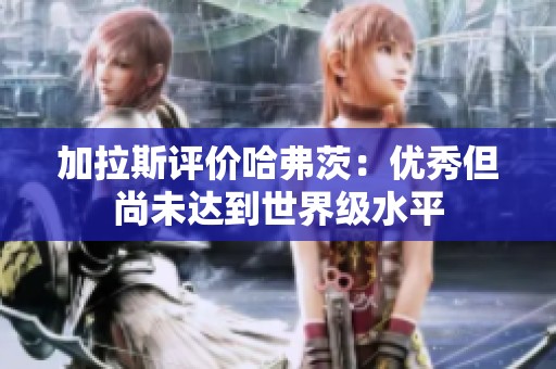 加拉斯评价哈弗茨：优秀但尚未达到世界级水平
