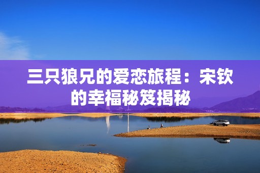 三只狼兄的爱恋旅程：宋钦的幸福秘笈揭秘