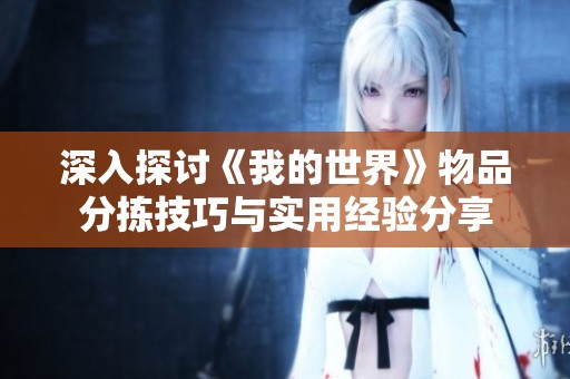 深入探讨《我的世界》物品分拣技巧与实用经验分享