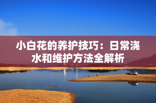 小白花的养护技巧：日常浇水和维护方法全解析