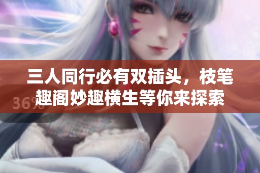 三人同行必有双插头，枝笔趣阁妙趣横生等你来探索