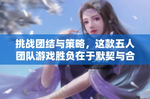 挑战团结与策略，这款五人团队游戏胜负在于默契与合作