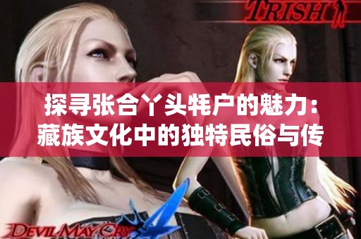 探寻张合丫头牦户的魅力：藏族文化中的独特民俗与传统解析