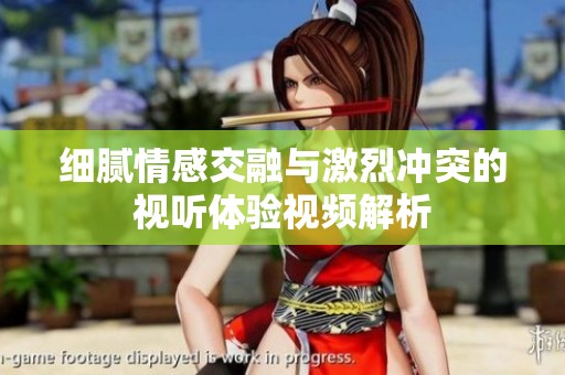 细腻情感交融与激烈冲突的视听体验视频解析