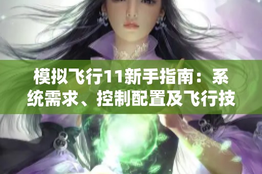 模拟飞行11新手指南：系统需求、控制配置及飞行技巧全解析