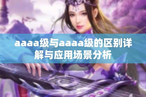 aaaa级与aaaa级的区别详解与应用场景分析